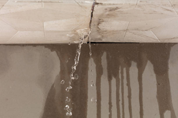 Professional Sewage Cleanup technician working in Dexter, MO